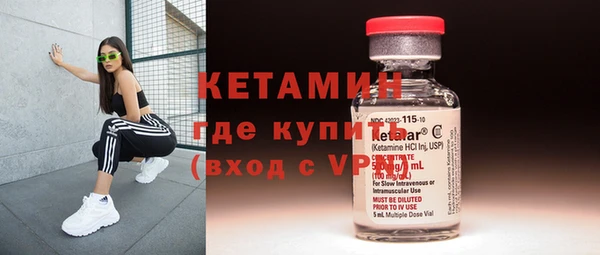 сатива Елизово
