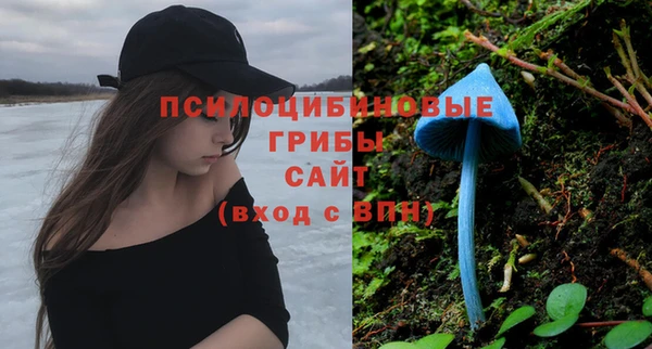 apvp Анжеро-Судженск